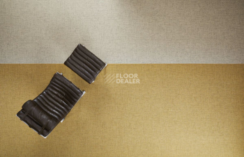 Canvas Canvas 145 фото 6 | FLOORDEALER